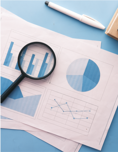 reports bundles placeholder
